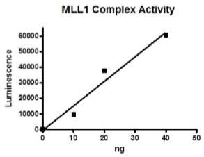 MLL1 Complex Direct Activity Assay Kit