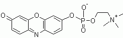 Resorufin Phosphocholine