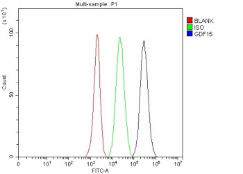 Anti-Gdf15 / Growth differentiation factor 15
