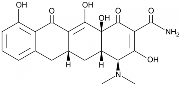 Sancycline