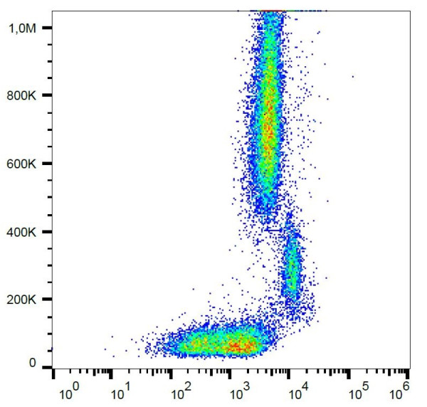 Anti-CD31 / PECAM-1, clone MEM-05 (PerCP)