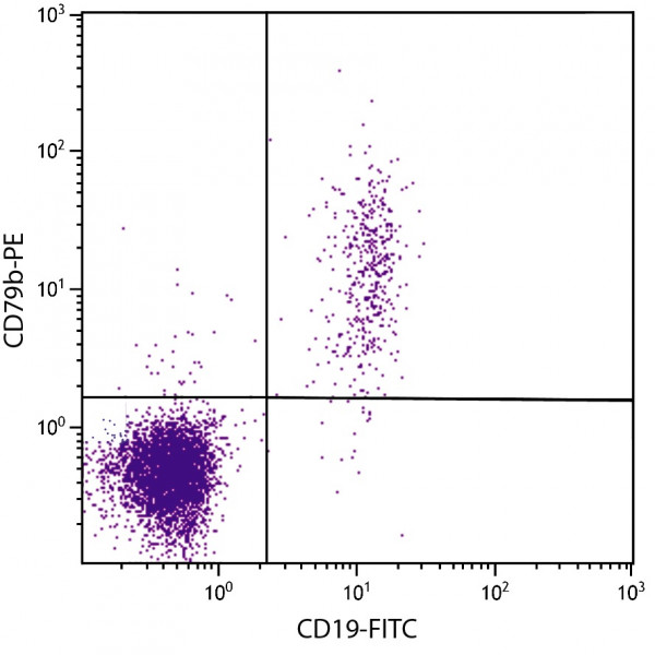 Anti-CD79b (PE), clone CB3-1