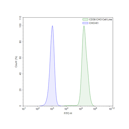 FluoSite Anti-CD38 Antibody, FITC-Labeled
