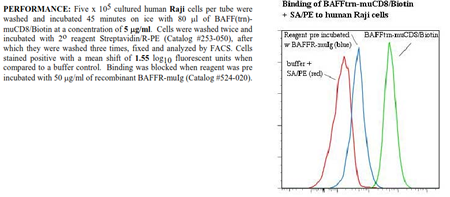 CD257 [BAFF] (trn) -muCD8 Fusion Protein, (human), Biotin conjugated