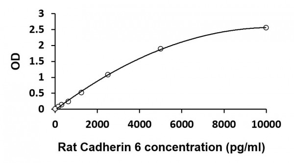 Rat Cadherin 6 ELISA Kit