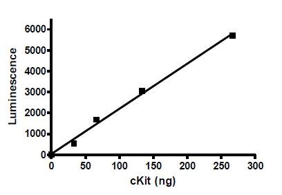 cKit, active human recombinant protein