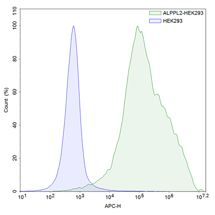 FluoSite Anti-ALPPL2 Antibody, APC-Labeled