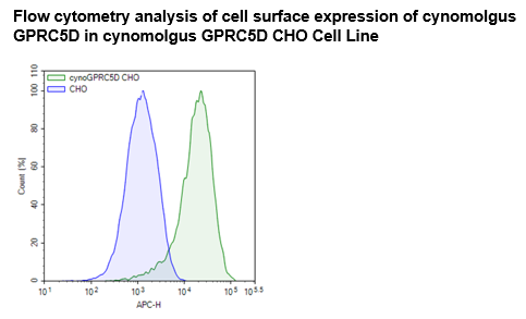 GPRC5D (Cynomolgus) CHO Cell Line