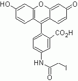 5-IAF (5-Iodoacetamidofluorescein)