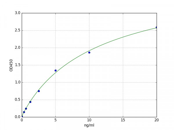Human CNN1 / Calponin-1 ELISA Kit