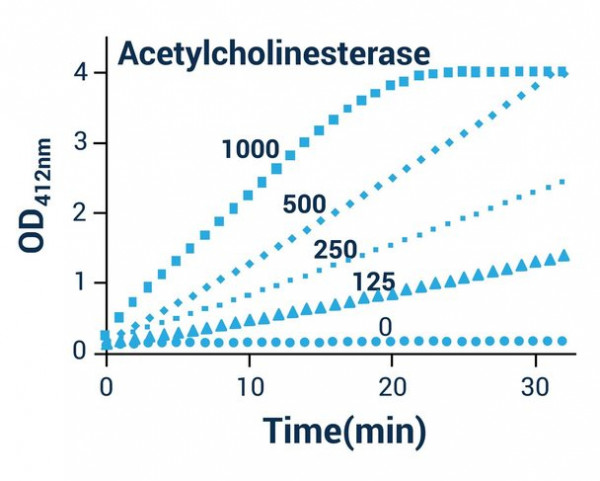 Acetylcholinesterase Assay Kit