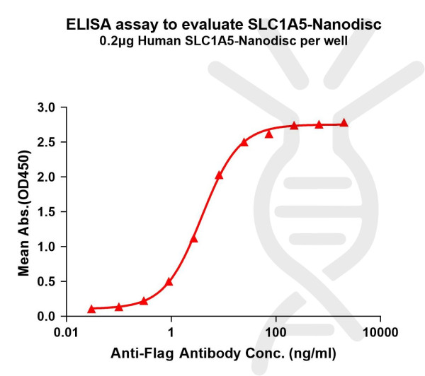 SLC1A5 (human) full length protein-synthetic nanodisc