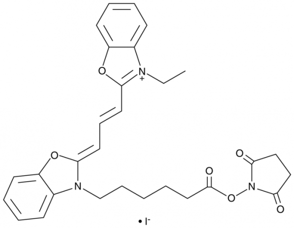 Cy2-SE