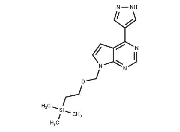 INCB032304