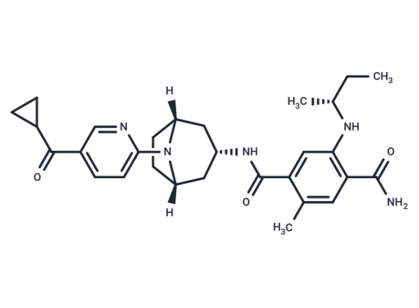 XL888