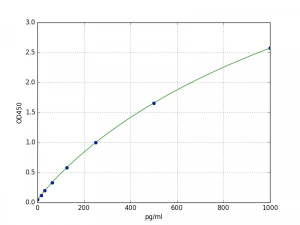 Human CDC42 ELISA Kit