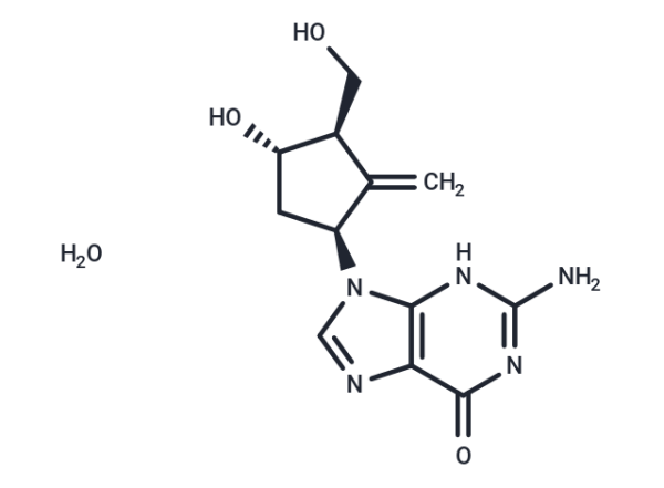 Entecavir monohydrate