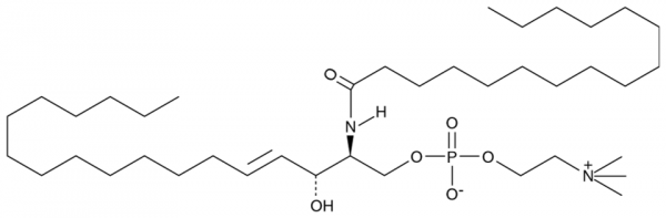 C16 Sphingomyelin (d18:1/16:0)