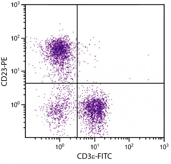 Anti-CD23 (PE), clone 2G8