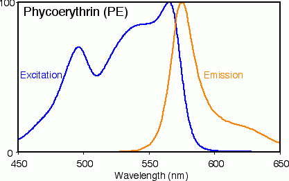 RPE-streptavidin conjugate (1 mg/ml)