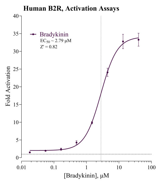 B2R Inhibition Reporter Assay System (human)