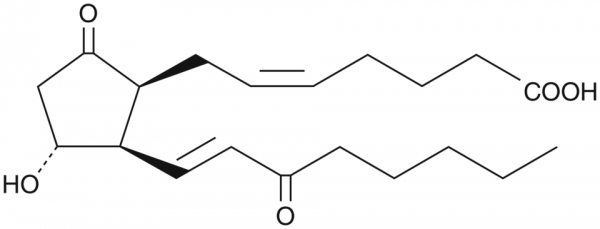 8-iso-15-keto Prostaglandin E2