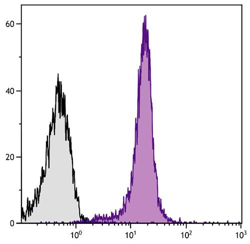Anti-CD2 (PE), clone 12-15