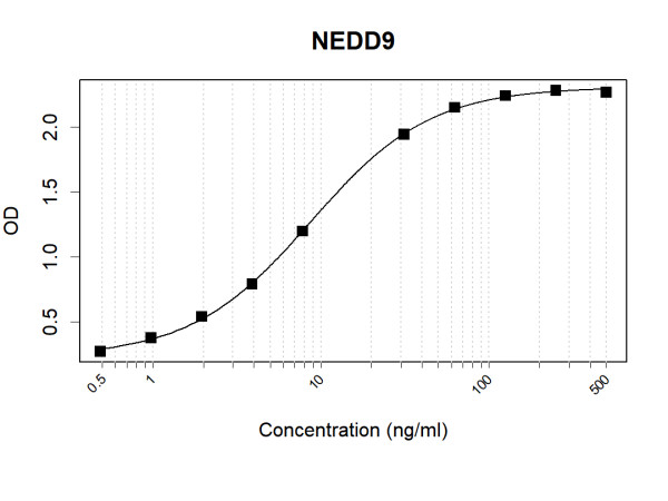 Anti-Human NEDD9 Antibody Pair
