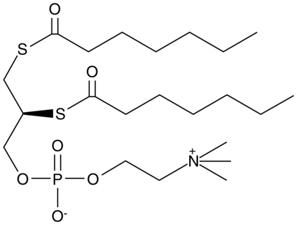 1,2-bis(heptanoylthio) Glycerophosphocholine