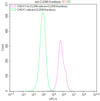 CHOK1/Human CLDN9 Stable Cell Line