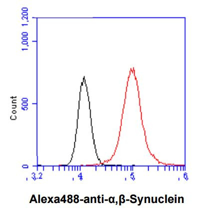 Anti-alpha+beta Synuclein, clone 3B6