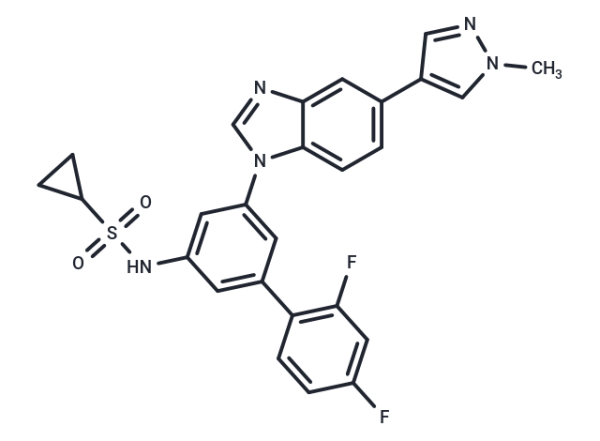 ODM-203