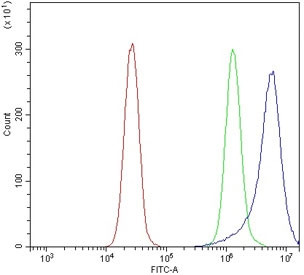 Anti-Breakpoint cluster region protein / BCR