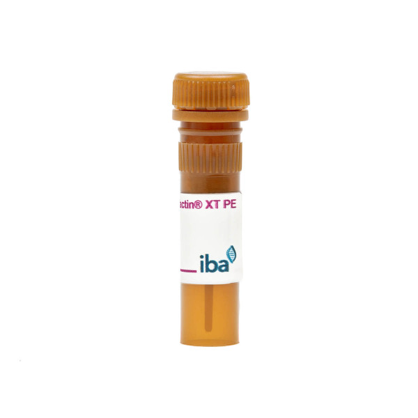 Strep-Tactin(R)XT PE