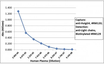 Anti-Human IgG4 / Hinge region, clone RM120