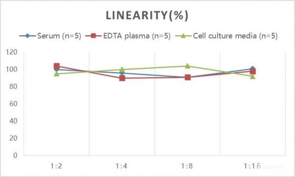 Human MIP-3beta/ELC/CCL19 (Macrophage Inflammatory Protein 3beta) ELISA Kit
