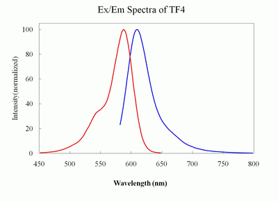 Tide Fluor(TM)4, succinimidyl ester (TF4 SE)*Superior replacement to ROX and Texas Red*