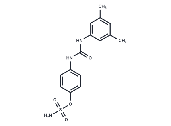CAIX Inhibitor S4