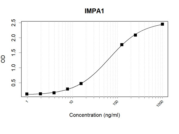 Anti-Human IMPA1 Antibody Pair