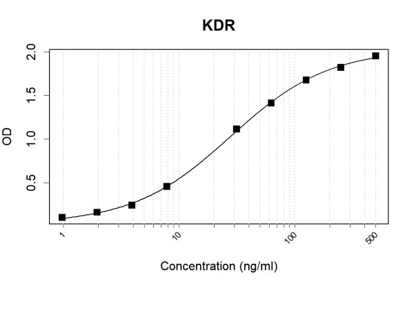 Anti-Human VEGF Receptor 2 Antibody Pair