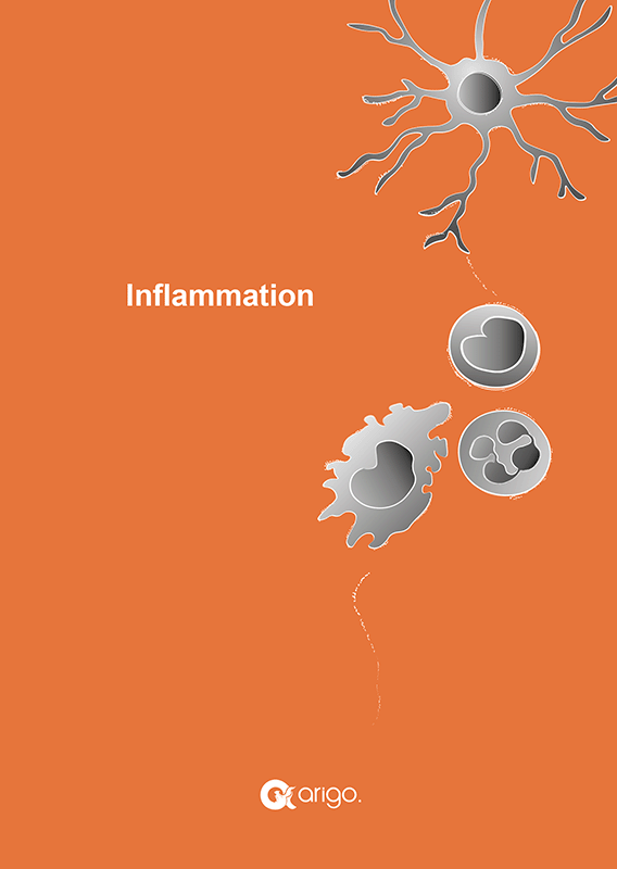Inflammation Antibody Panels