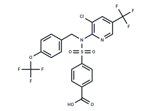 RQ-00203078