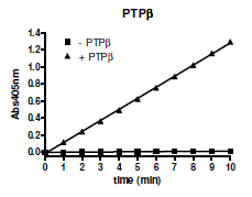 PTPbeta, active human recombinant protein