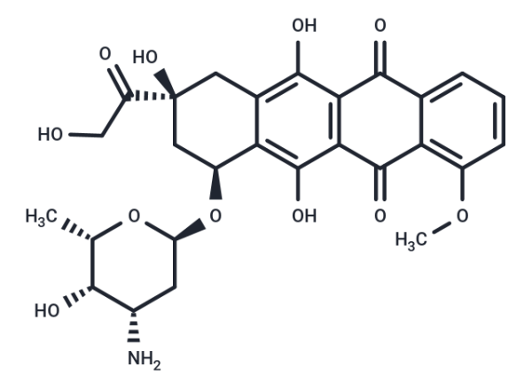 Doxorubicin