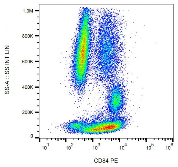 Anti-CD84, clone CD84.1.21 (PE )