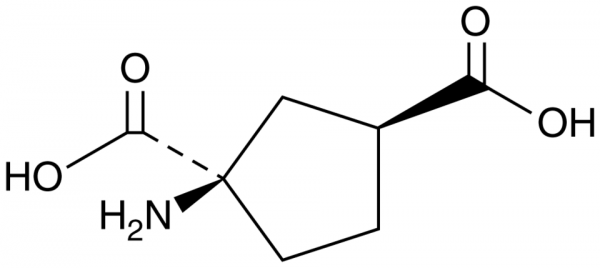 (±)-trans-ACPD