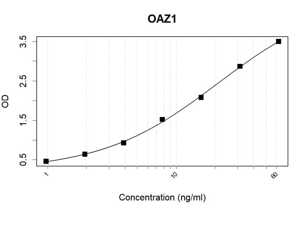 Anti-Human OAZ1 Antibody Pair