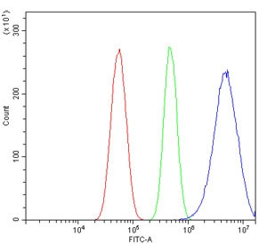 Anti-RALBP1, clone 2E11