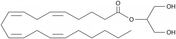 2-Arachidonoyl Glycerol