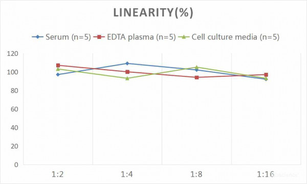 Human NGAL (Neutrophil Gelatinase Associated Lipocalin) CLIA Kit